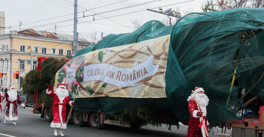 Bradul pentru Târgul de Crăciun a ajuns la Chişinău