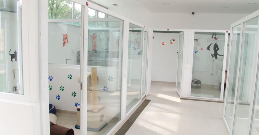 În perioada sărbătorilor de iarnă pensiunile pentru câini şi pisici din preajma Chişinăului sunt arhipline