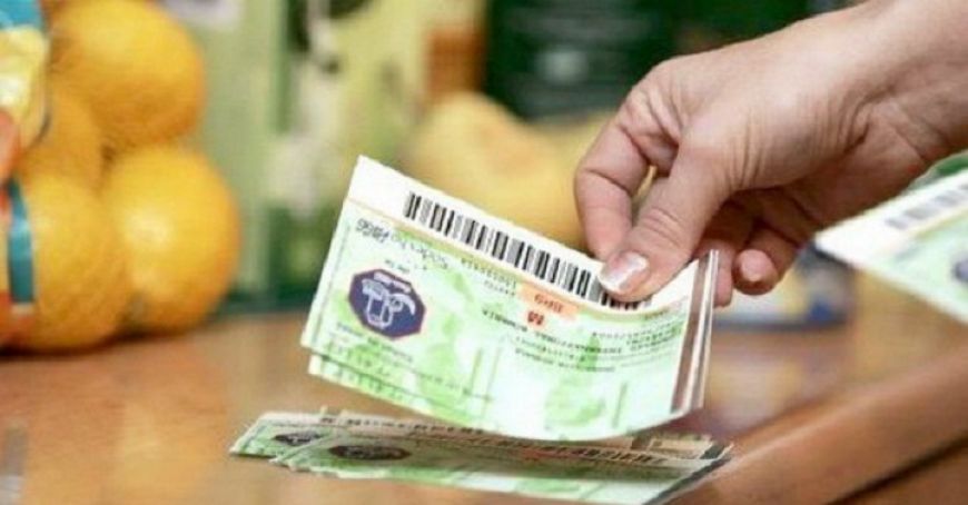 Ion Chicu: Noua lege a salarizării nu are cum să-i lipsească pe bugetari de tichetele de masă