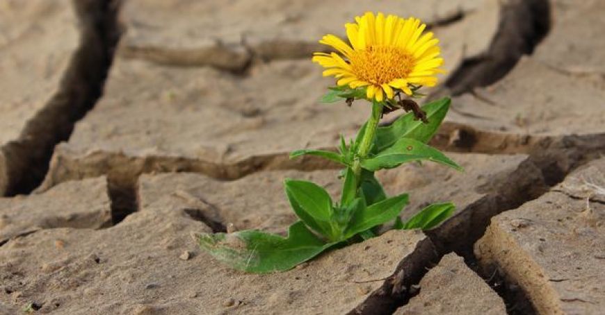 MDARM: Dezastrele naturale aduc prejudicii economice
