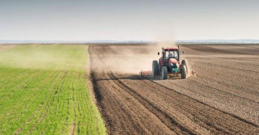 Persoanele din sectorul agrar au cele mai scăzute venituri