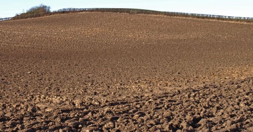 Temperaturile înalte afectează agricultura