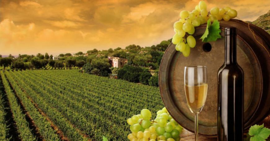 Moldova - inclusă în top 10 cele mai bune destinaţii turistice vinicole din lume