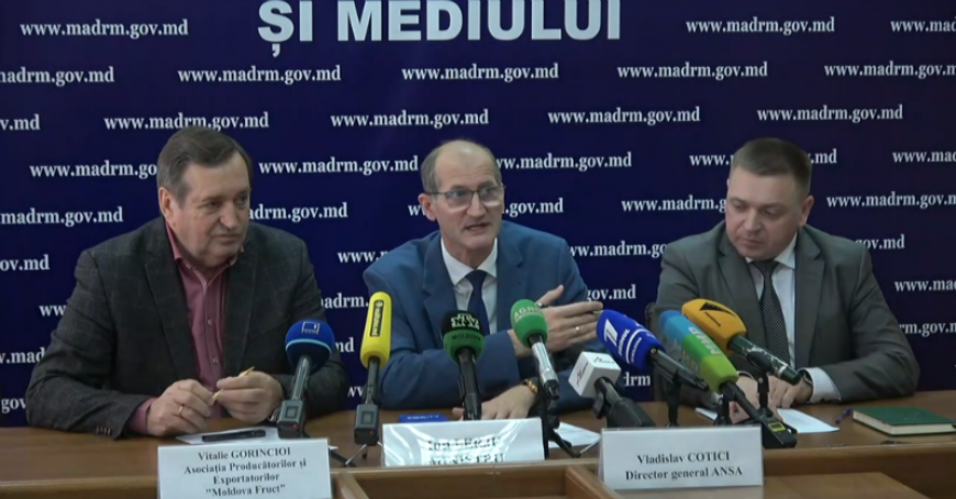 Câte companii din Moldova vor exporta fructe şi legume în Federaţia Rusă