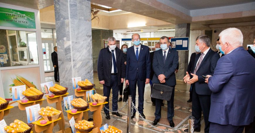 Producerea de seminţe va fi susţinută de stat