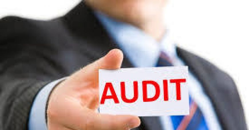 Audit extern obligatoriu la întreprinderile de stat
