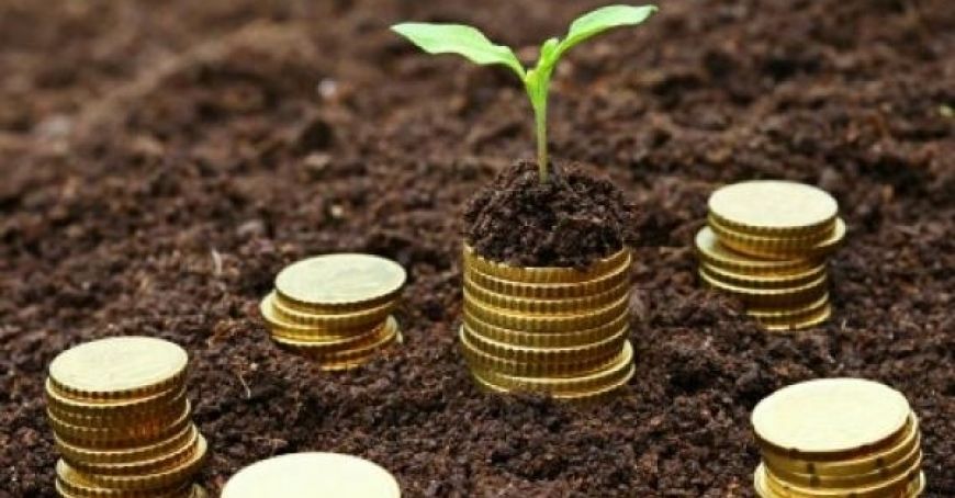 Guvernul a aprobat un proiect privind asigurarea subvenţionată în agricultură
