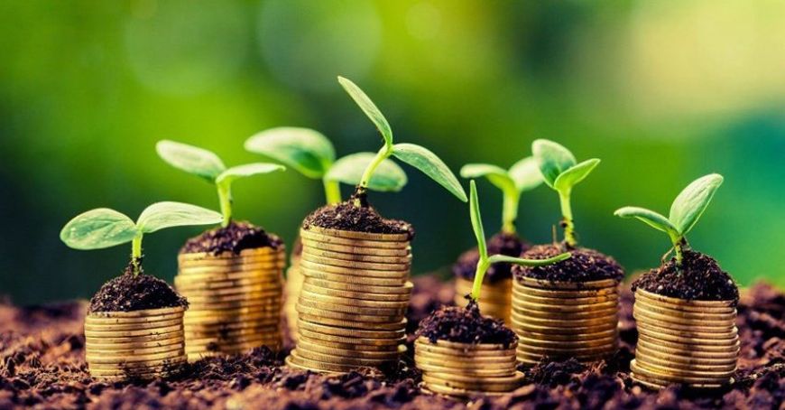 Agricultorii vor beneficia de subvenţii majorate (VIDEO)