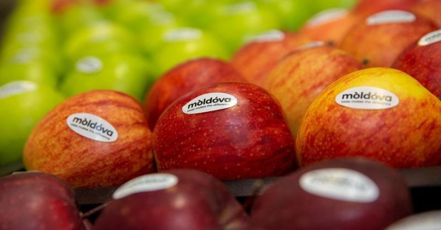Молдавских фермеров призвали повысить качество продукции, чтобы иметь возможность переориентироваться на европейские рынки