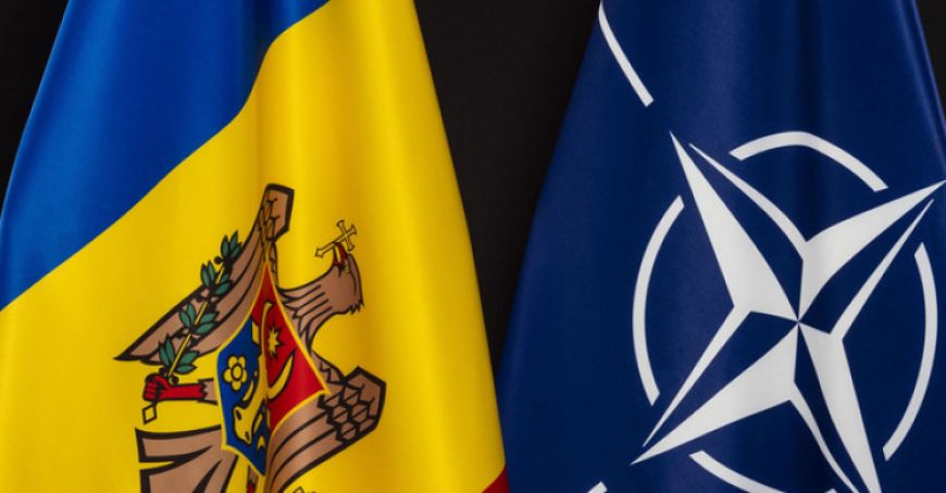 Cooperarea dintre Republica Moldova şi NATO aspecte discutate de către Viorel Cibotaru şi James Appathurai