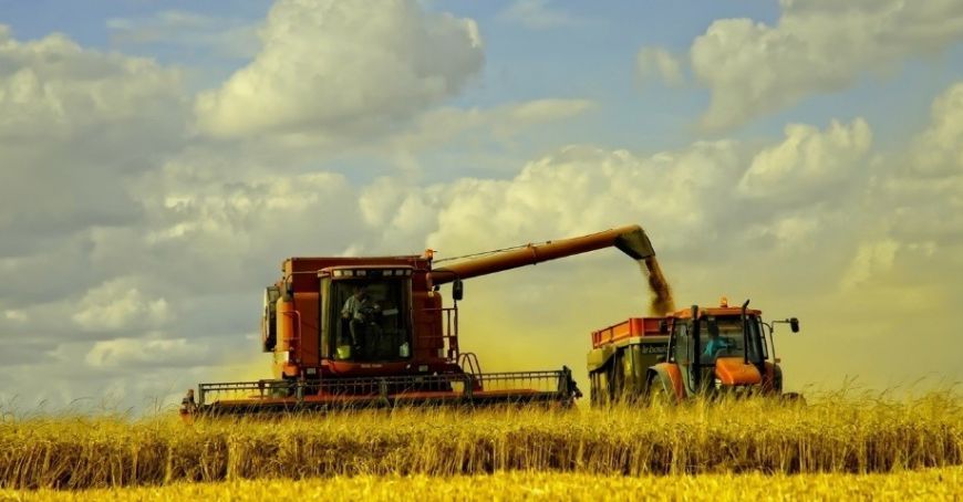 Фермеры могут быть вынуждены завершить свои страховые полисы