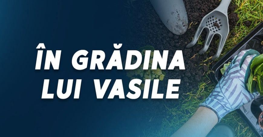 „În grădina lui Vasile”, o emisiune marca Radio Moldova